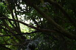 DSC_9069.JPG